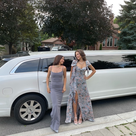 Prom/Wedding Guest Dress for SALE - Picture 5 of 5